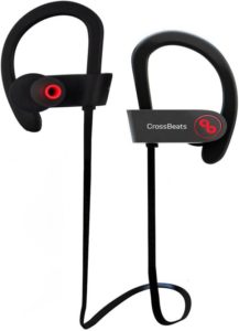 CrossBeats Raga Wireless Bluetooth Earphones with best price online